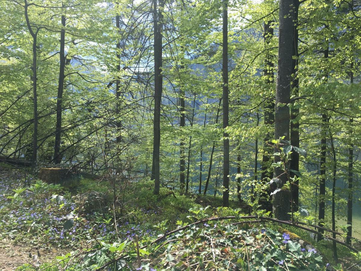 Appartements Im Forsthaus Strobl Exteriör bild
